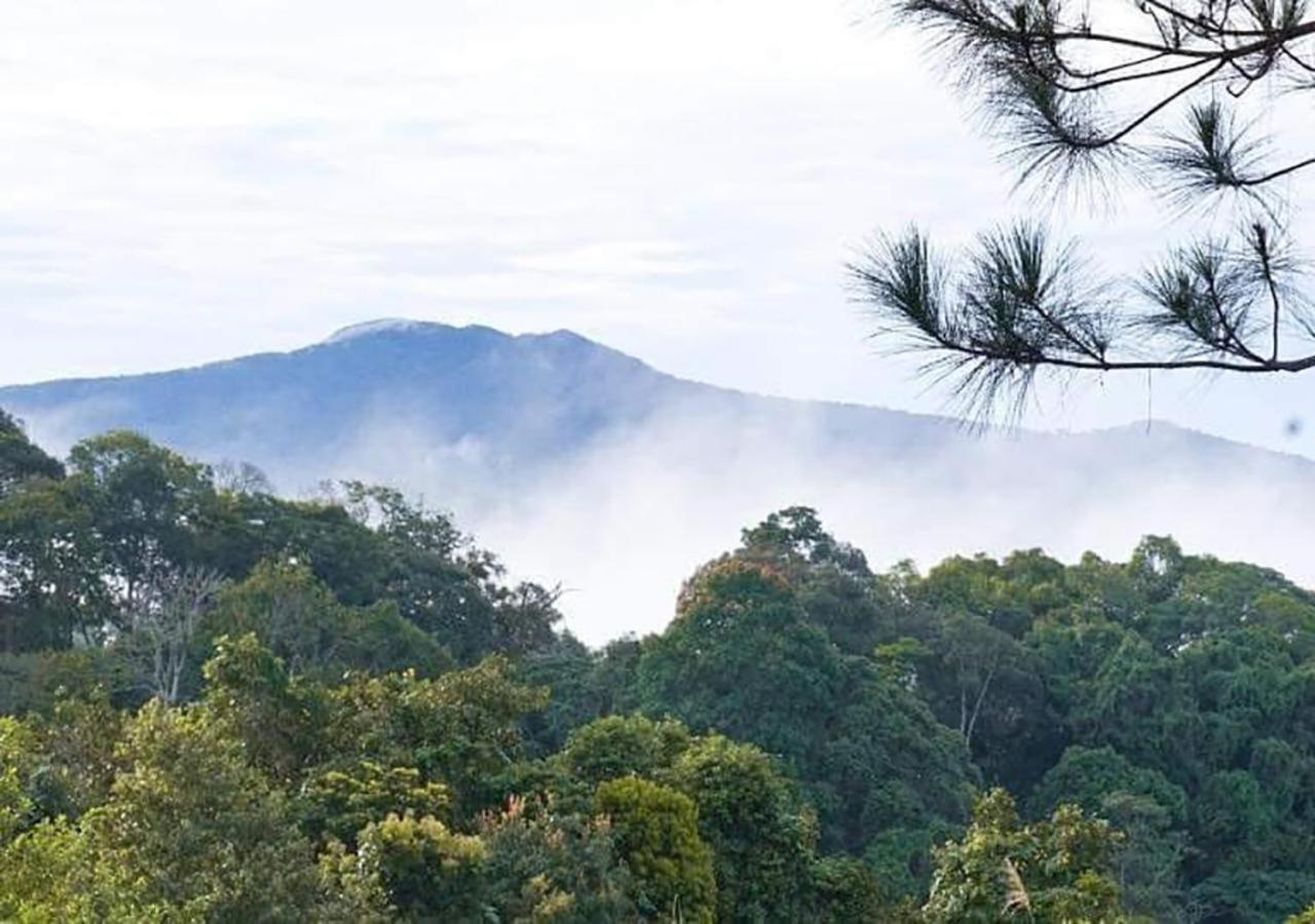 Big Mang Den Homestay Kon Von Kla Buitenkant foto